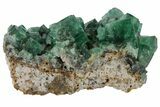 Highly Fluorescent, Green, Fluorite Cluster - Rogerley Mine #97882-1